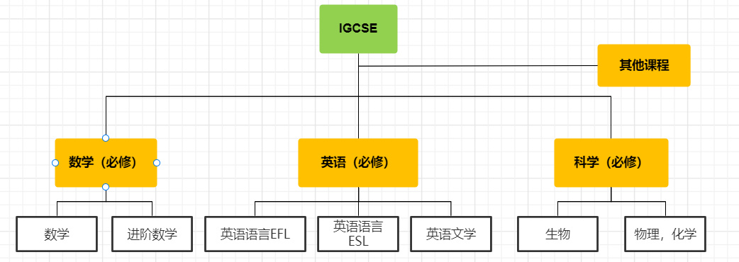 IGCSE课程