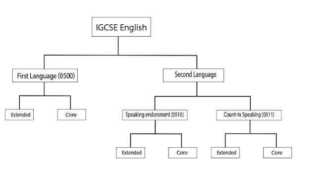 IGCSE英语