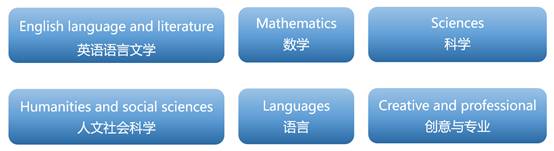 IGCSE课程