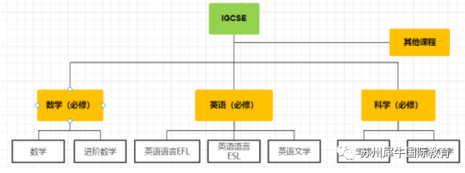 IGCSE课程培训