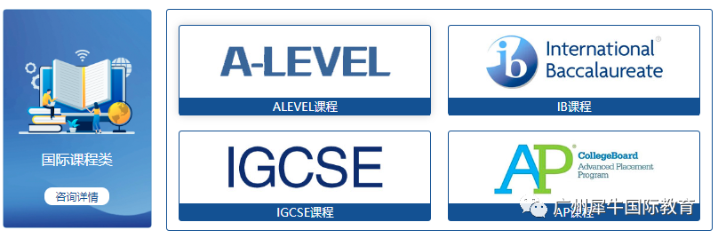 国际学校