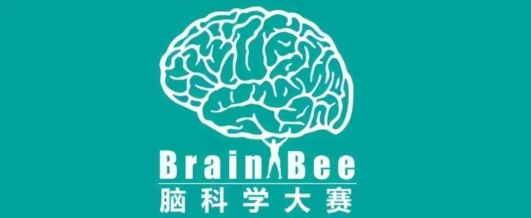 BrainBee生物竞赛,北京Brainbee竞赛培训,Brainbee脑科学大赛,Brainbee真题,