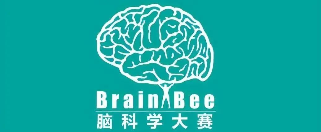 BrainBee脑科学大赛