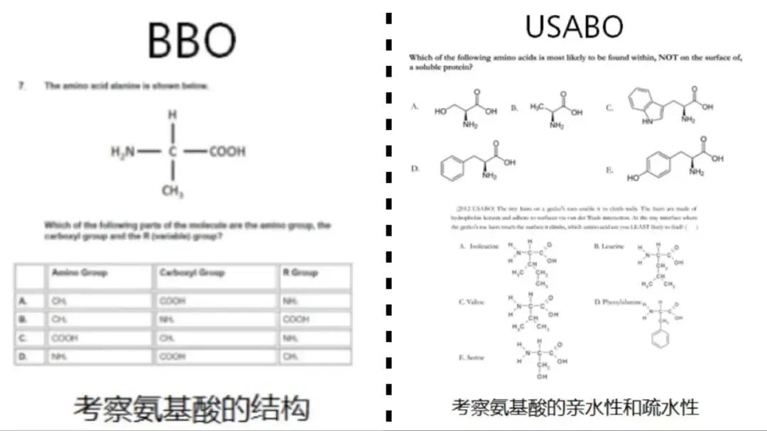 USABO美国生物奥林匹克竞赛,BBO英国生物奥林匹克竞赛,BrainBee脑科学国际生物竞赛,