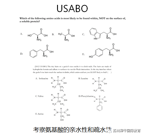 USABO美国生物奥林匹克竞赛,BBO英国生物奥林匹克竞赛,生物竞赛培训课程,