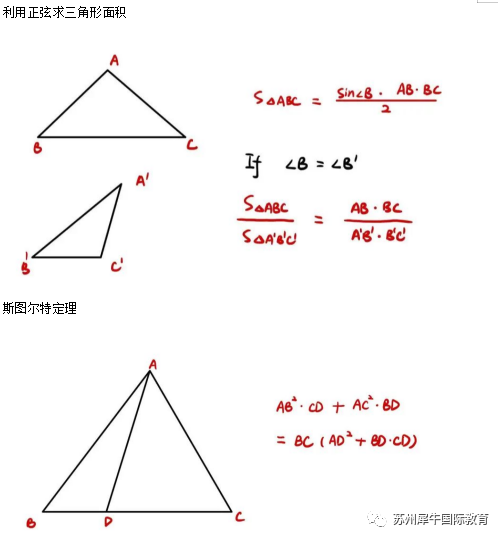 AMC10数学竞赛,AMC10竞赛,AMC10培训班,AMC10真题,