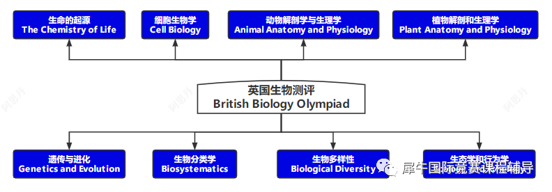 BBO竞赛