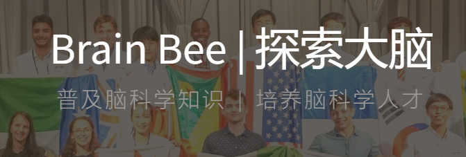 Brain Bee脑科学大赛