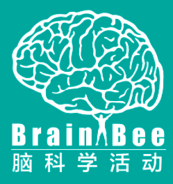 Brain bee脑科学竞赛