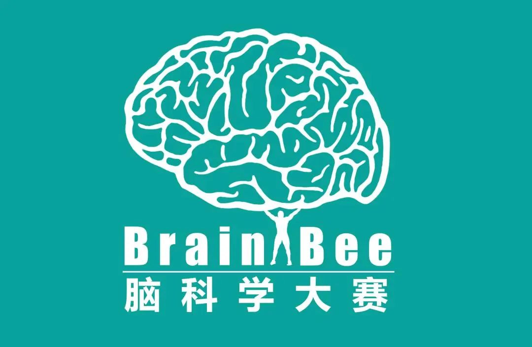 Brain bee脑科学竞赛