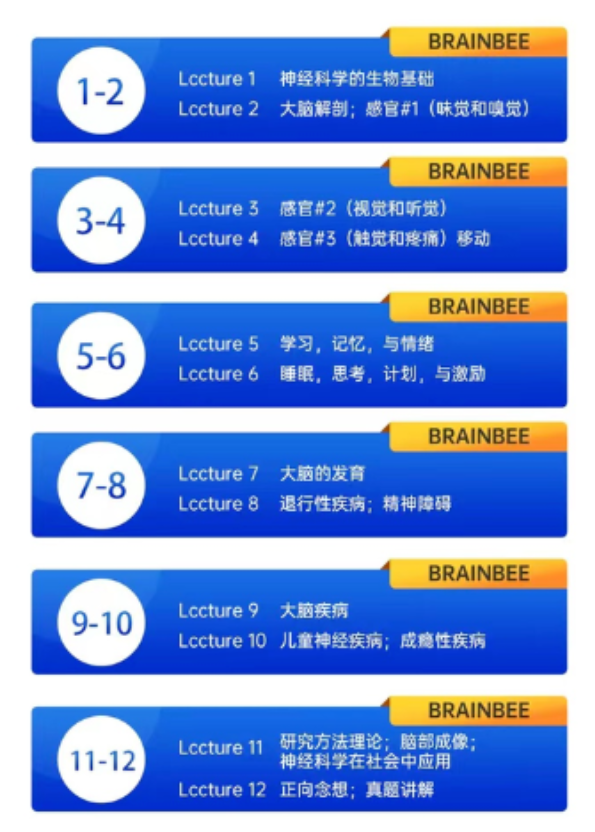 Brain Bee脑科学大赛