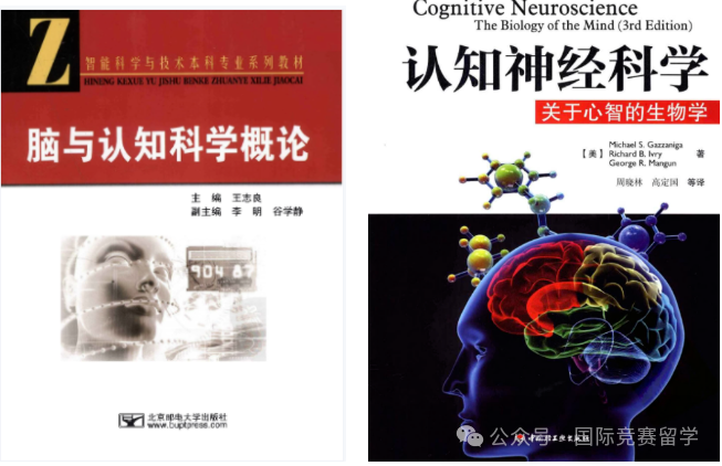 Brain Bee脑科学大赛