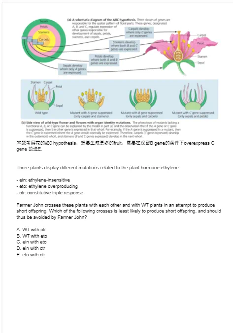 USABO培训