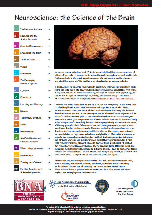 Brainbee脑科学生物竞赛