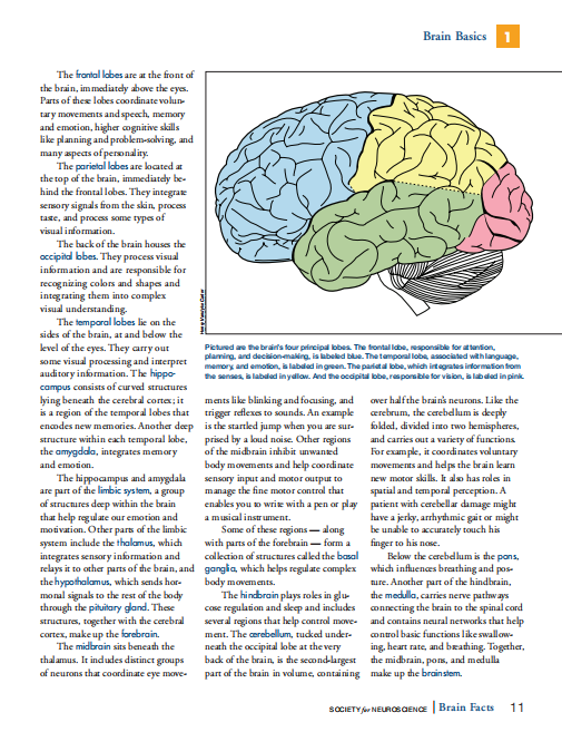 Brainbee脑科学生物竞赛