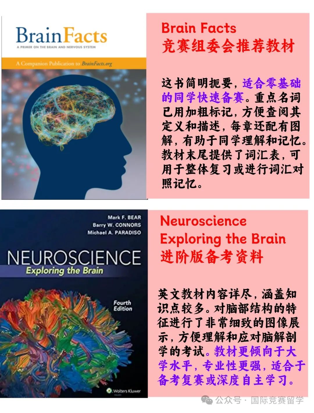 Brain Bee脑科学大赛