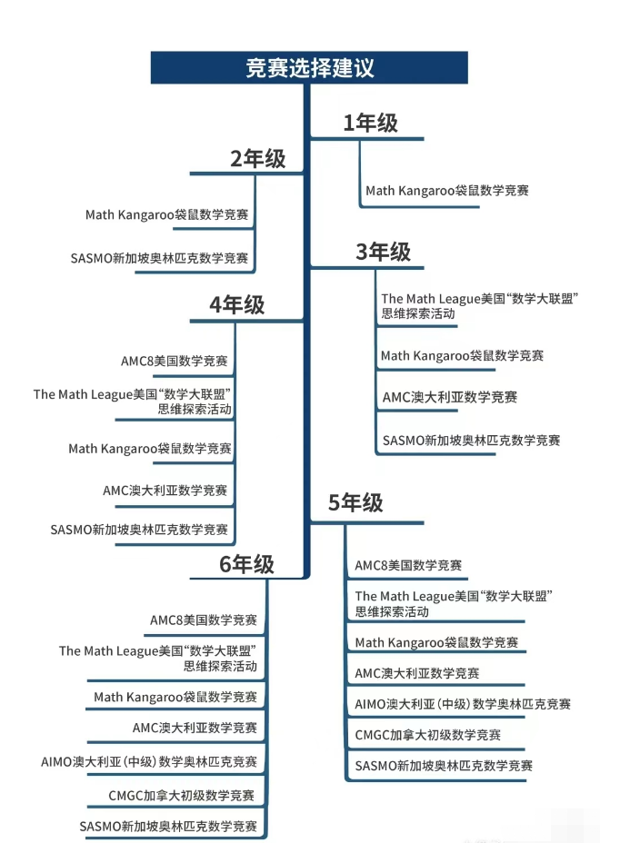 袋鼠数学竞赛