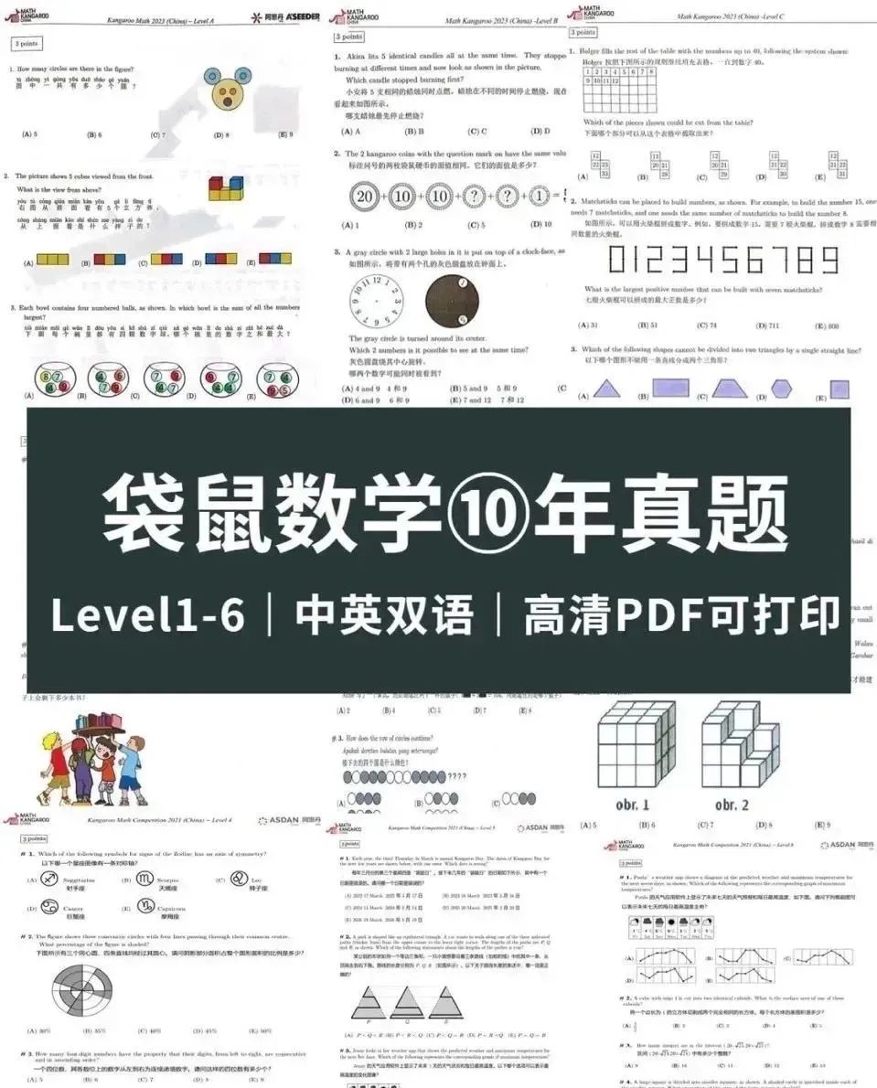 袋鼠数学竞赛