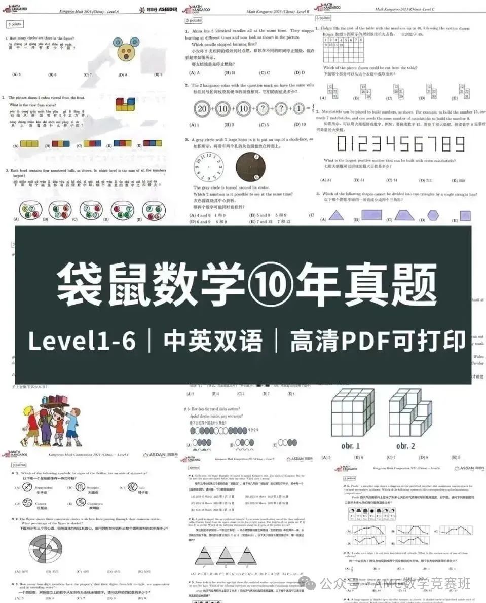 袋鼠数学竞赛含金量