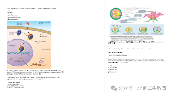 USABO&BBO竞赛