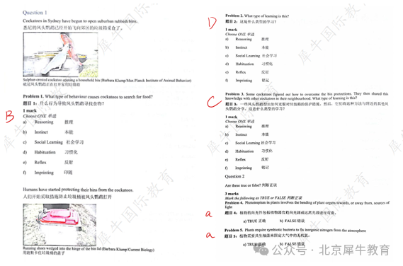 BBO /USABO /BrainBee生物竞赛