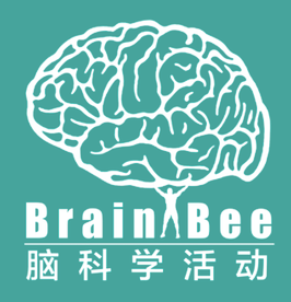 Brain Bee竞赛,Brain Bee生物竞赛,Brain Bee辅导,Brain Bee培训班,BrainBee脑科学大赛,