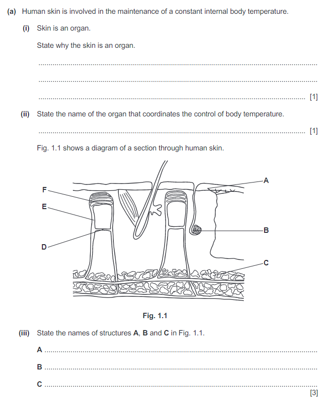 IGCSE生物