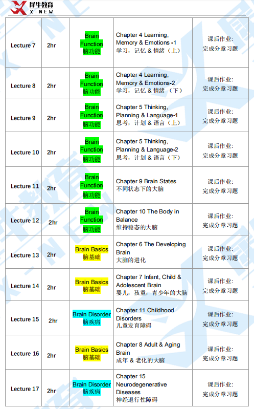 Brain Bee脑科学活动