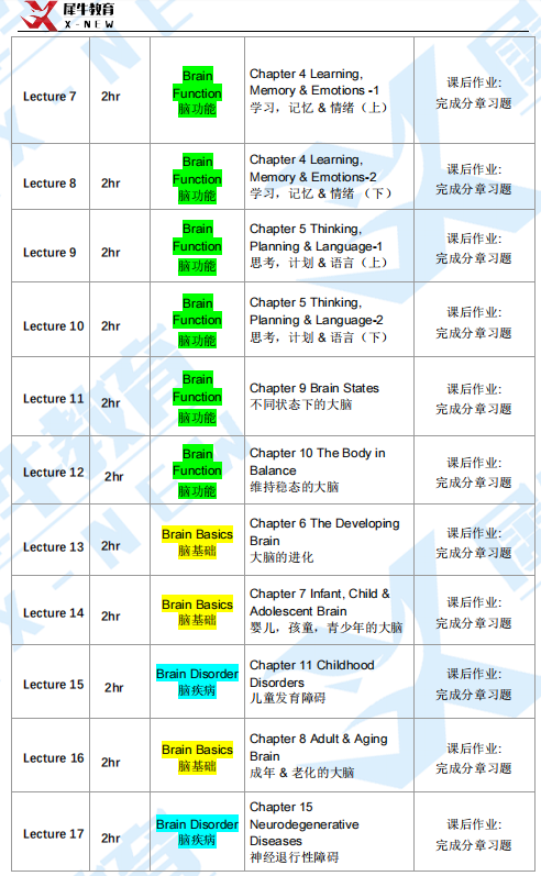 BrainBee脑科学竞赛