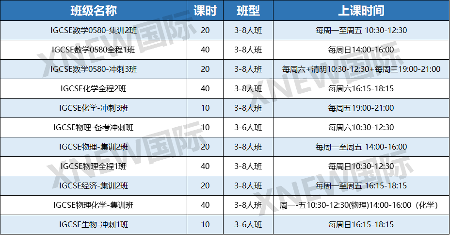 IGCSE 课程