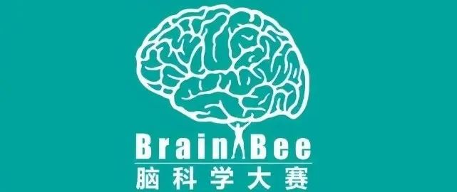 Brain Bee