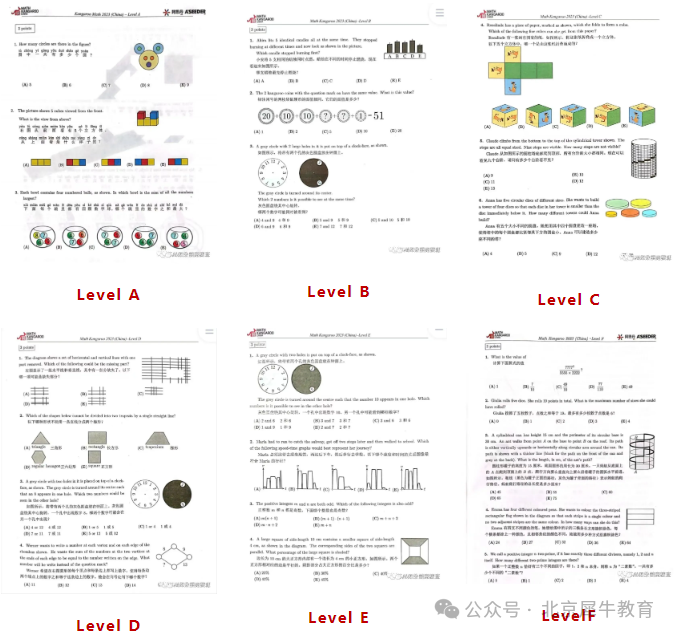 袋鼠数学竞赛