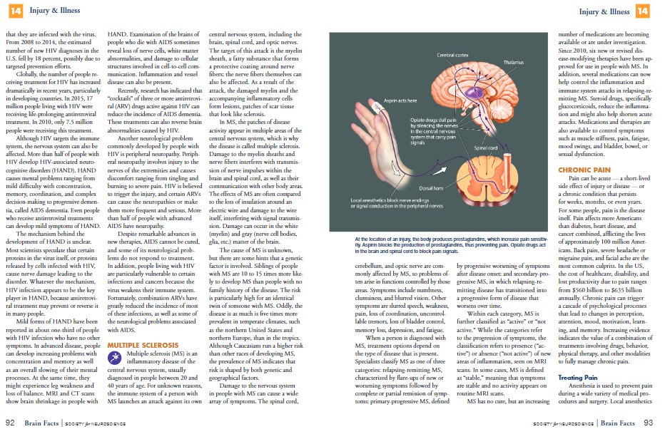 Brain Bee脑科学生物竞赛