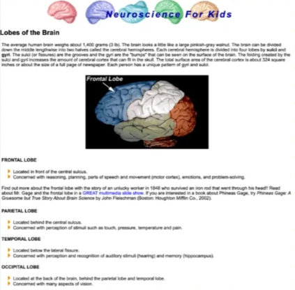 Brain Bee脑科学生物竞赛