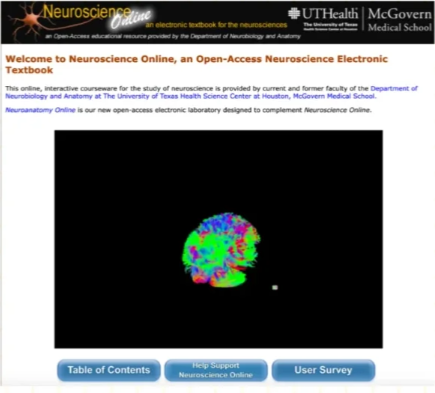 Brain Bee脑科学生物竞赛