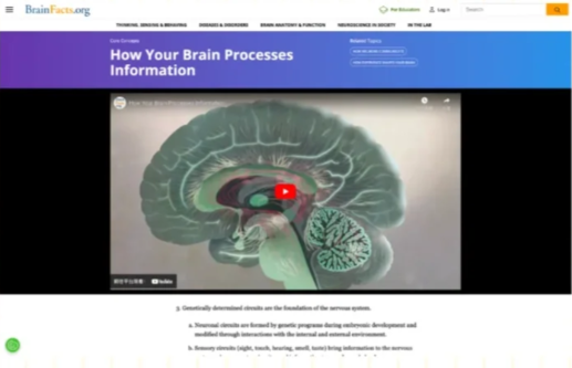 Brain Bee脑科学生物竞赛