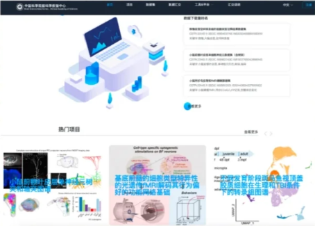 Brain Bee脑科学生物竞赛