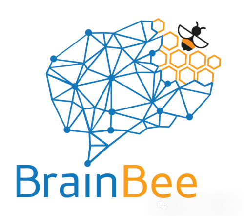 Brain Bee