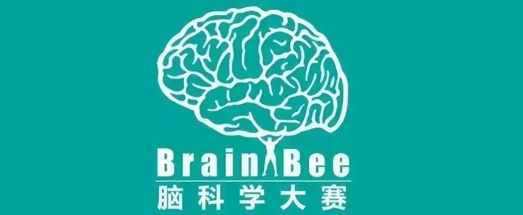 Brain bee