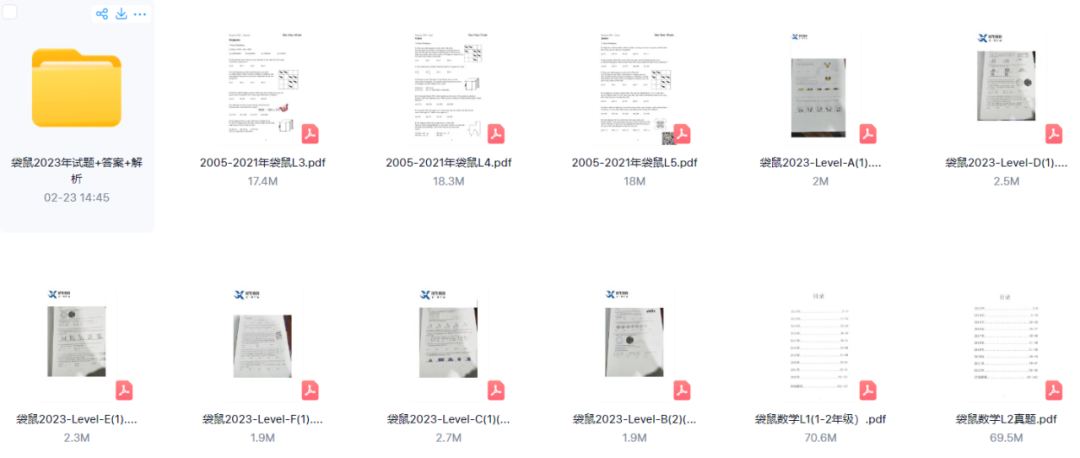 袋鼠数学竞赛