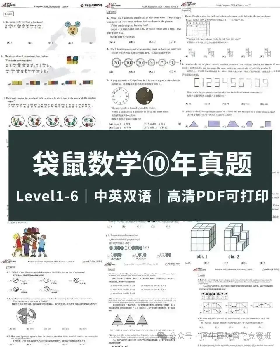 袋鼠数学竞赛