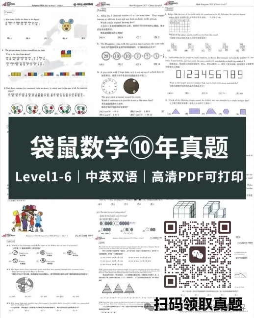 袋鼠数学竞赛