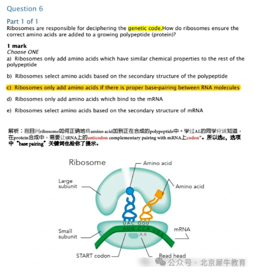 BBO生物竞赛