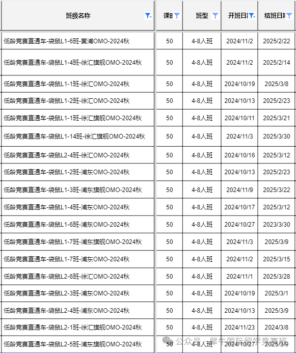  袋鼠数学思维竞赛