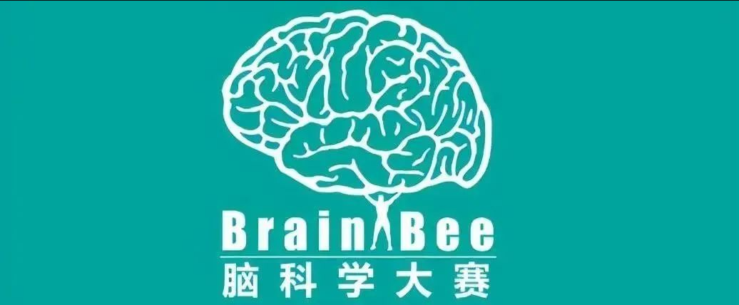 Brainbee脑科学大赛