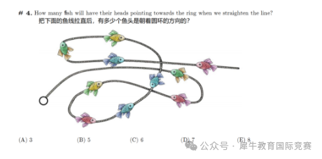 袋鼠数学竞赛