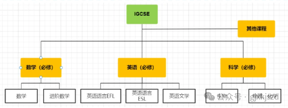 IGCSE课程