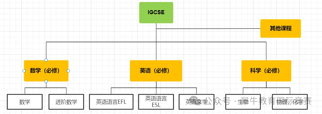 IGSCE课程