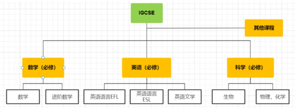 IGCSE课程