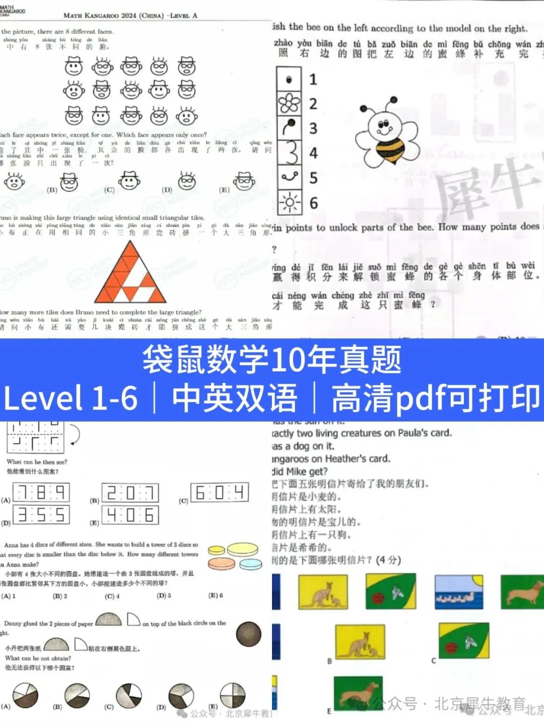 袋鼠数学竞赛